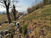 Monte Zucco ad anello ‘fiorito’ da S. Antonio via Sonzogno-26mar22 - FOTOGALLERY